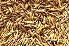 Raw oat groats