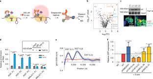 Once you have a program in the stm32 that has the swd pins enabled then you will no longer be locked out, so you don't need to. Crispr Assisted Detection Of Rna Protein Interactions In Living Cells Nature Methods