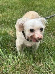 Sharing* Found at a truck stop, so possibly picked up & dropped off!