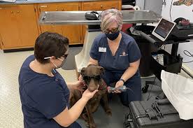 The vet who comes to your pet serving nyc's pets since 1997. Veterinarian In Skowhegan Me Animal Medical Clinic