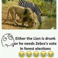 Pubg vs free fire memes in english. 200 Pubg Memes Ideas Memes Funny Memes Gaming Memes