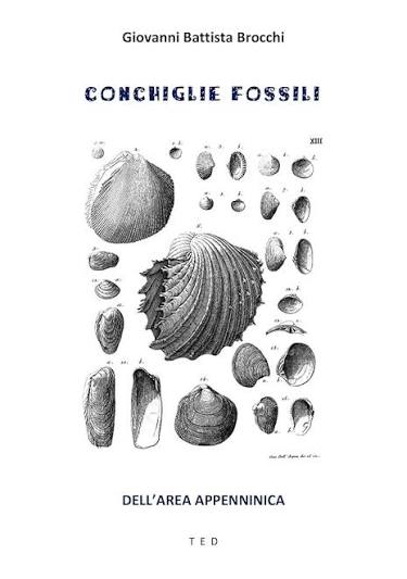 Giovanni Battista Brocchi – Conchiglie fossili: Dell’area Appenninica (2020)