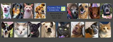 Check spelling or type a new query. Columbus Dog Connection Home Facebook