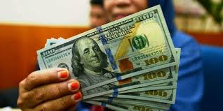 Perdagangan mata wang adalah selalu berpasangan. Nilai Tukar Rupiah Melemah Ke Level Rp 14 334 Per Usd Merdeka Com