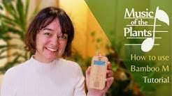 This provides new ways to interact with our green friends. Music Of The Plants Youtube