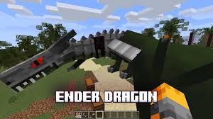 With your support we can expand our team and speed up its development, landing it in your hands faster! Dragons Mod Dragon Addons Mods For Minecraft For Android Apk Download