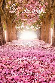 See more ideas about bible verses, verses, bible. Bible Quotes For Funeral Flowers Quotesgram
