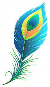Peacock Feather Feather Illustration Flower Art Drawing Digital Art Poster