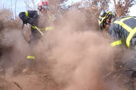 Une vingtaine d'hommes et de femmes militaires organisés pour répondre au mieux aux. Uiisc 7 On Twitter Maido La Mission D Appui Au Sdis974 Continue Au Maido Prefet974 Feudeforet