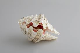 The following is a list of cancer types.cancer is a group of diseases that involve abnormal increases in the number of cells, with the potential to invade or spread to other parts of the body. Inside Our Microbiome Three Bacteria Found In Both Severe Gum Disease And In Cancer Gently By Curaden