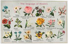 They'll likely be captivated by the raw beauty of our floral arrangements. The Language Of Flowers Garden Museum