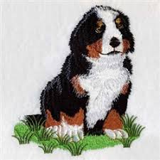 Abraham millraney (big arm) said: Bernese Mountain Dog Embroidery Designs Machine Embroidery Designs At Embroiderydesigns Com Dog Embroidery Designs Machine Embroidery Embroidery Designs