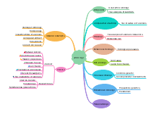 Check spelling or type a new query. Global Warming Mind Map Free Global Warming Mind Map Templates