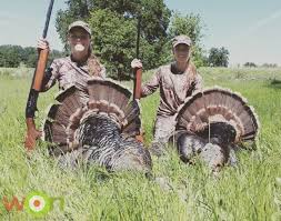 Turkey Hunting Get A Call And Start Practicing Now