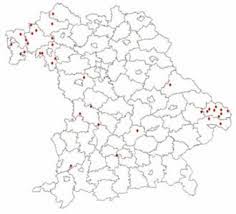 Bestimmte gebiete deutschlands sind besonders gefährdet. Erhohte Zahl Von Hantavirusinfektionen Zu Einer Ungewohnten Zeit In Bayern