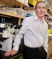 Current gem prices for 2021. Dr Daniel J Drucker Lunenfeld Tanenbaum Research Institute