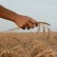 2025 Harvest Dinner and Fundraiser event image