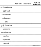 cells enchantedlearning com