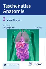 In der übersicht erhalten sie detaillierte informationen unter anderem zu inneren organen, bewegungsapparat, sinnesorgane und gehirn sowie zu den verschiedenen körperkreisläufen. Taschenatlas Der Anatomie Band 2 Innere Organe Von Helga Fritsch Buch Thalia