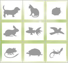 Check spelling or type a new query. How You Can Help Your Cat To Accept Other Pets Cat S Best