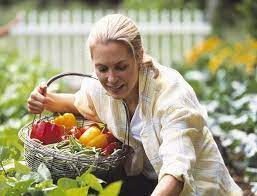 Eating Organic The Real Benefits To You And Your Family Thinking Of Switching Your Family To Organic Use This Guide To Ge Veggie Garden Vegetable Seed Garden