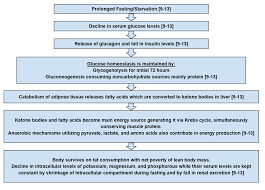 Cureus What A Trainee Surgeon Should Know About Refeeding