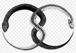 May 29, 2019 · the infinity ouroboros tattoo looks like a figure eight and could be drawn with one or two dragons or snakes. Ouroboros Png File Snake Infinity Tattoo Transparent Png 1280x916 839007 Pngfind