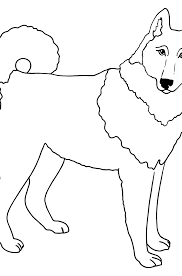 I have been a nurse since 1997. Siberian Husky Coloring Page Online
