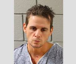 'This is going to hurt:' Officer recalls suspect driving stolen police car  at him