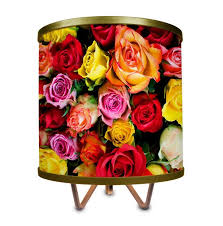 Add one or two oversize pieces, like a light fixture or a mirror, to create an expansive effect without. Rosdorf Park Ciel Bouquet Of Roses 11 75 Table Lamp Wayfair