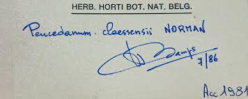 Image result for Afroligusticum claessensii