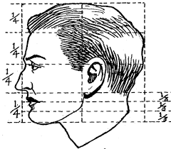 Face Proportions Archives How To Draw Step By Step Drawing Tutorials You can draw cartoon faces. how to draw step by step drawing tutorials