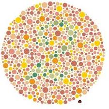 Pin On Color Blindness