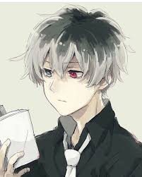 Watch Tokyo Ghoul | Netflix