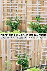 Jackmanii clematis and new dawn. Learn How To Build A Trellis For Vines With My Diy Trellis Tutorial Diy Trellis Modern Garden Trellis Trellis