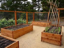 Best 47 Inexpensive Decorative Vegetable Garden Fencing Ideas Decorecent