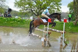We would like to show you a description here but the site won't allow us. Michael Jung Ger On La Biosthetique Sam Fbw Badminton Horse Trials Gloucestershire 2016 Mapio Net