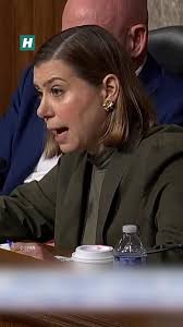 Liz Cheney/Adam Kinzinger Against Trump