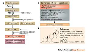 Eplerenone is an aldosterone antagonist that is used to treat heart conditions. Eplerenone Nature Reviews Drug Discovery