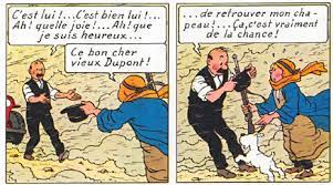 La Vie De Tintin Comics Memes Adventure