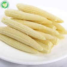 Congelados Baby Milho Na Espiga Fornecedores E Fabricantes Atacado Melhor Congelado Milho Milho Na Espiga Xiamen Sharp Dragon