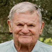 Albert Eugene Socha Obituary