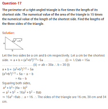 Pair Of Linear Equations In Two Variables Cbse Class 10 Maths Extra Questions 29 Linear Equations Equations This Or That Questions