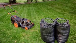 We did not find results for: Why We Mulch Grass Clippings Back Into The Lawn The 1 Lawn Mowing Service For Lewisville Flower Mound And Highland Village