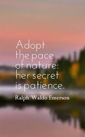 By tara thompson rasmus i come from a loving, supportive family, and my mother taught me that there are more valuable ways to achieve beauty than. 72 Beautiful Beauty Of Nature Quotes And Sayings