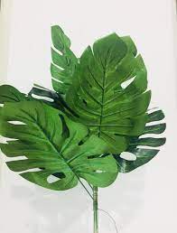 Check spelling or type a new query. Diy Pokok Viral Untuk Dekorasi Hari Raya Dengan Total Hangus Hanya Rm24 Sahaja