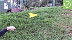 Here is a video that shows you five different ways to make paper airplanes so that you can shoot them and they can fly as long as possible. 3 Ways To Fold Paper Airplanes Wikihow