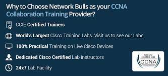 In total ine is offering almost 50 free hours of video training. Ccna Voice Ccna Collaboration Course Training Institute In Gurgaon Delhi India