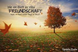 Zitate über viele themen des lebens. Wie Ein Blatt Im Wind Freundschaft Spruche Bilder