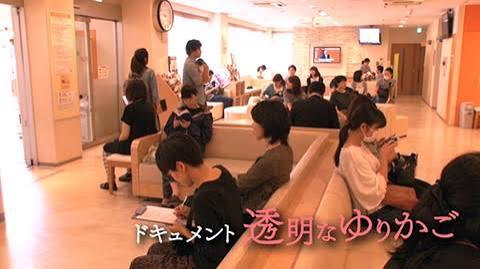 ドキュメント 透明なゆりかご